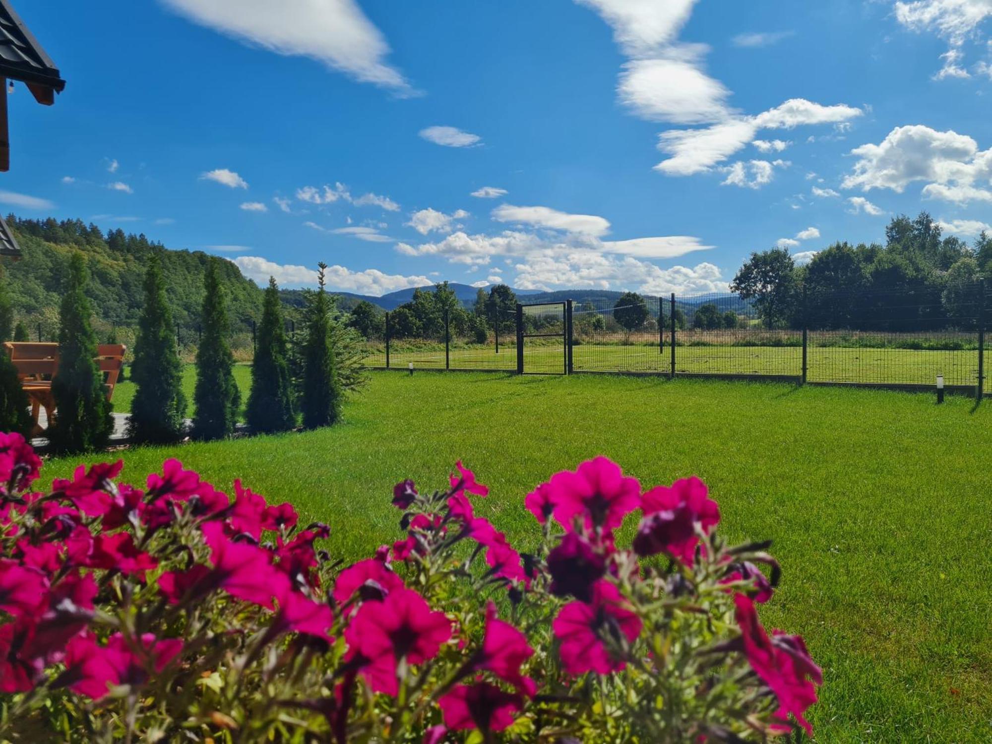 Sloneczne Sudety - Caloroczne Kotlina Klodzka Holiday home Stary Waliszow